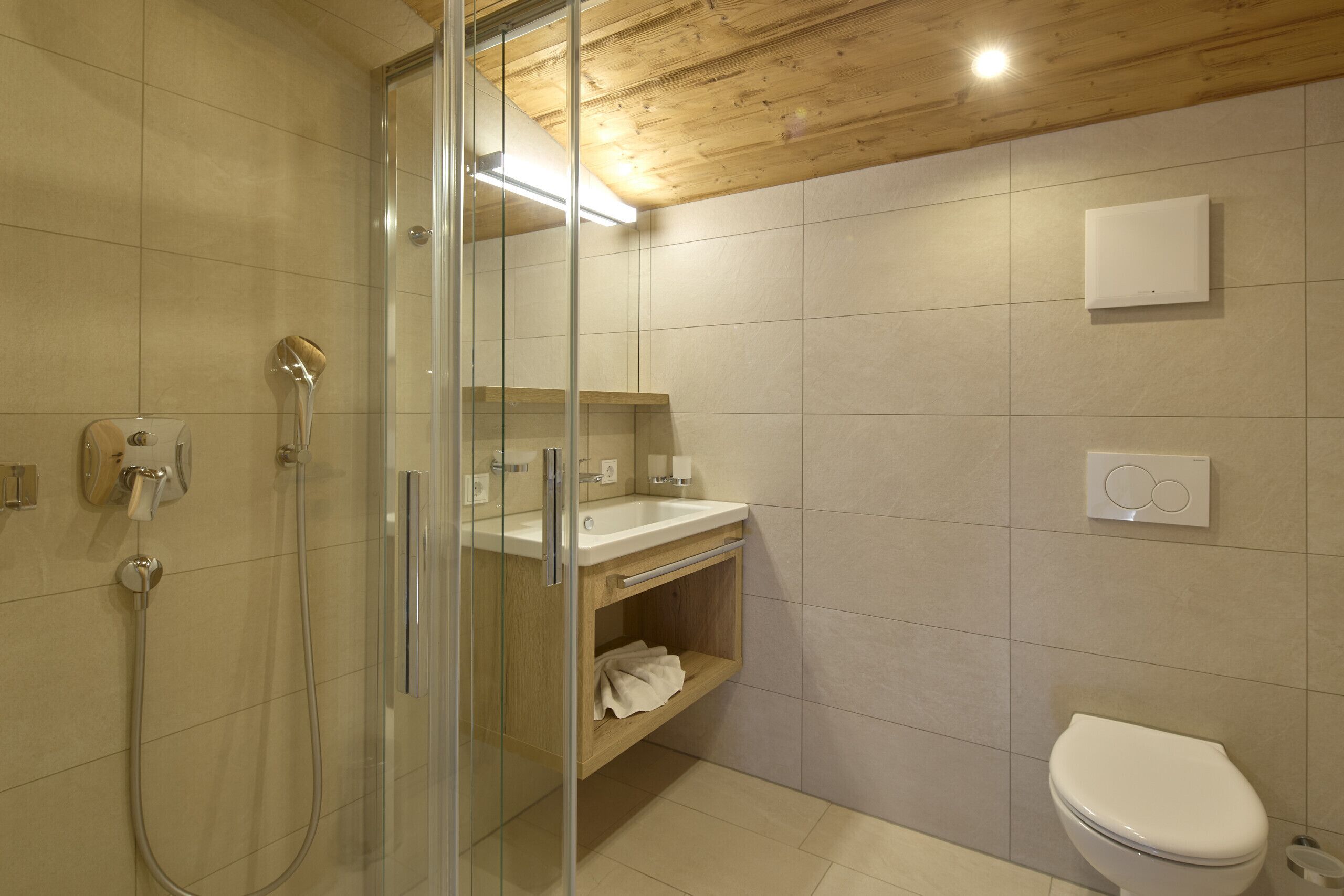 Shower, hair dryer, toilet paper