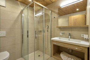 Shower, hair dryer, toilet paper