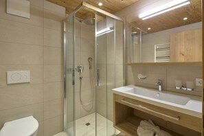 Shower, hair dryer, toilet paper
