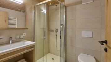 Shower, hair dryer, toilet paper