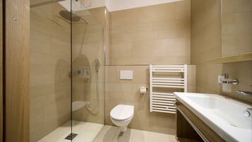 Shower, hair dryer, toilet paper