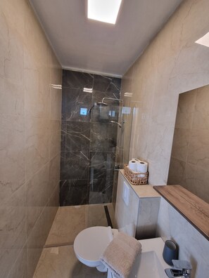 Ein modernes Badezimmer mit einer Duschkabine, einer Toilette und einem Waschtisch mit Spiegel.