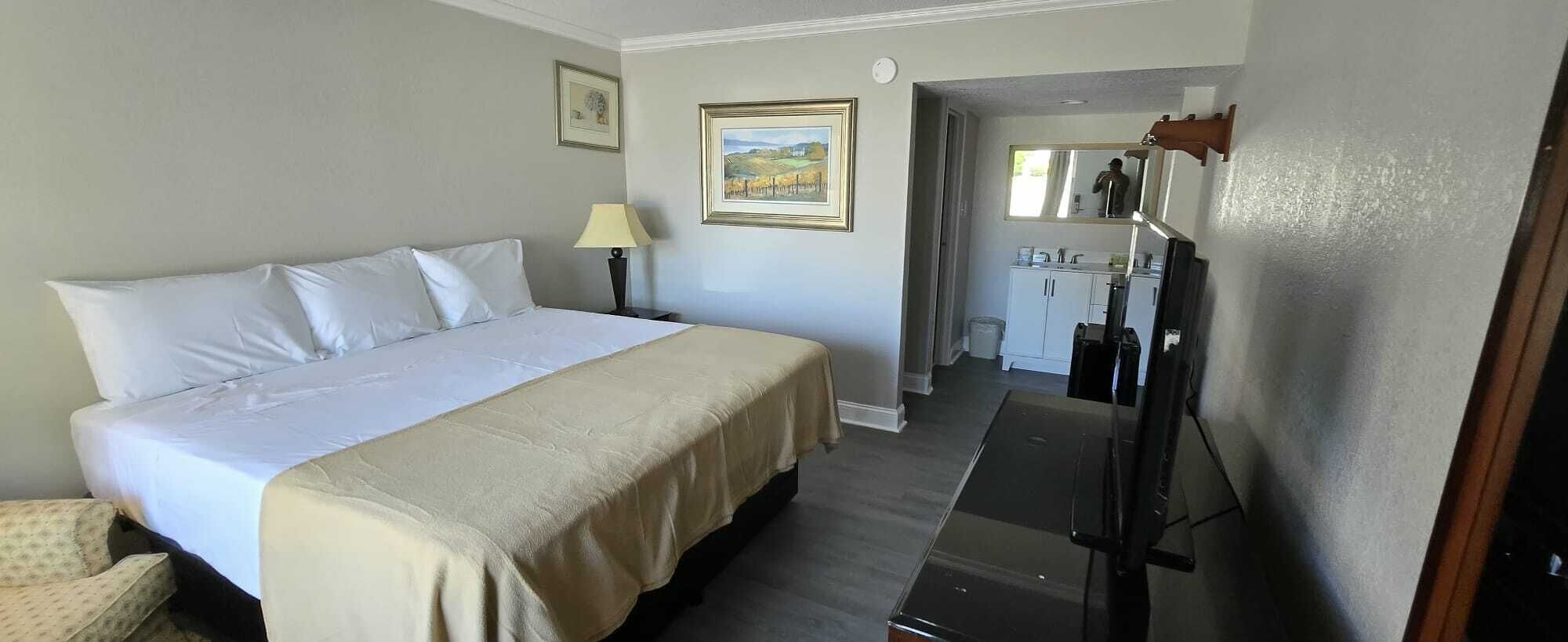 Desk, iron/ironing board, free WiFi, bed sheets