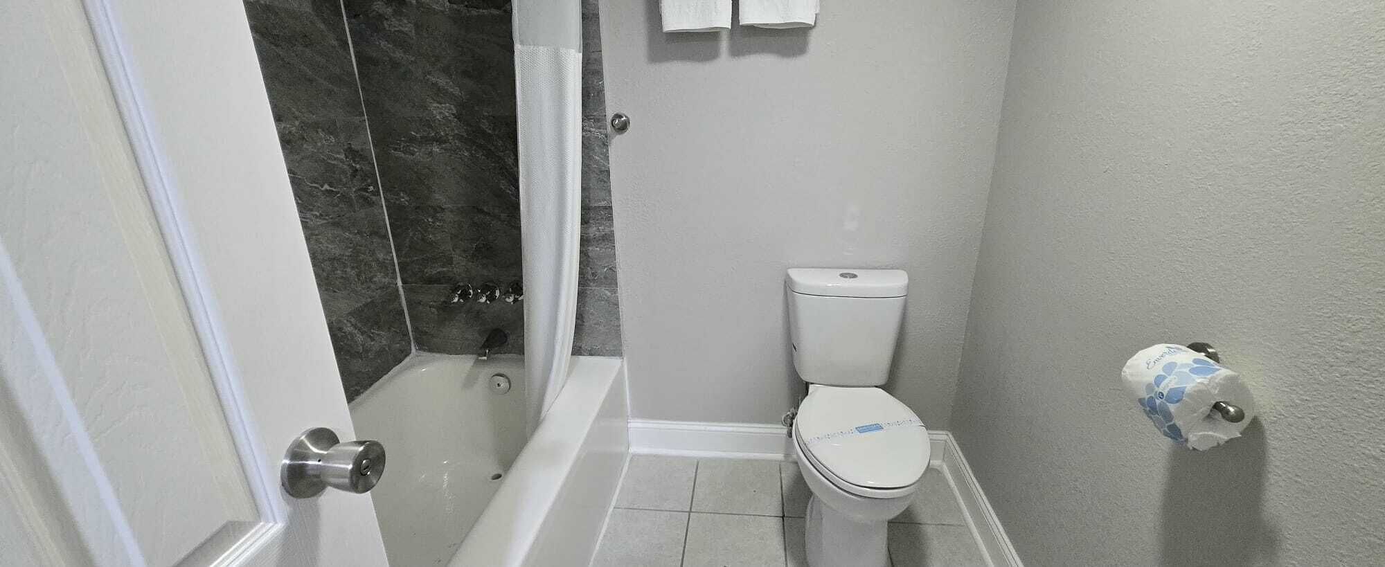 Free toiletries, hair dryer, towels