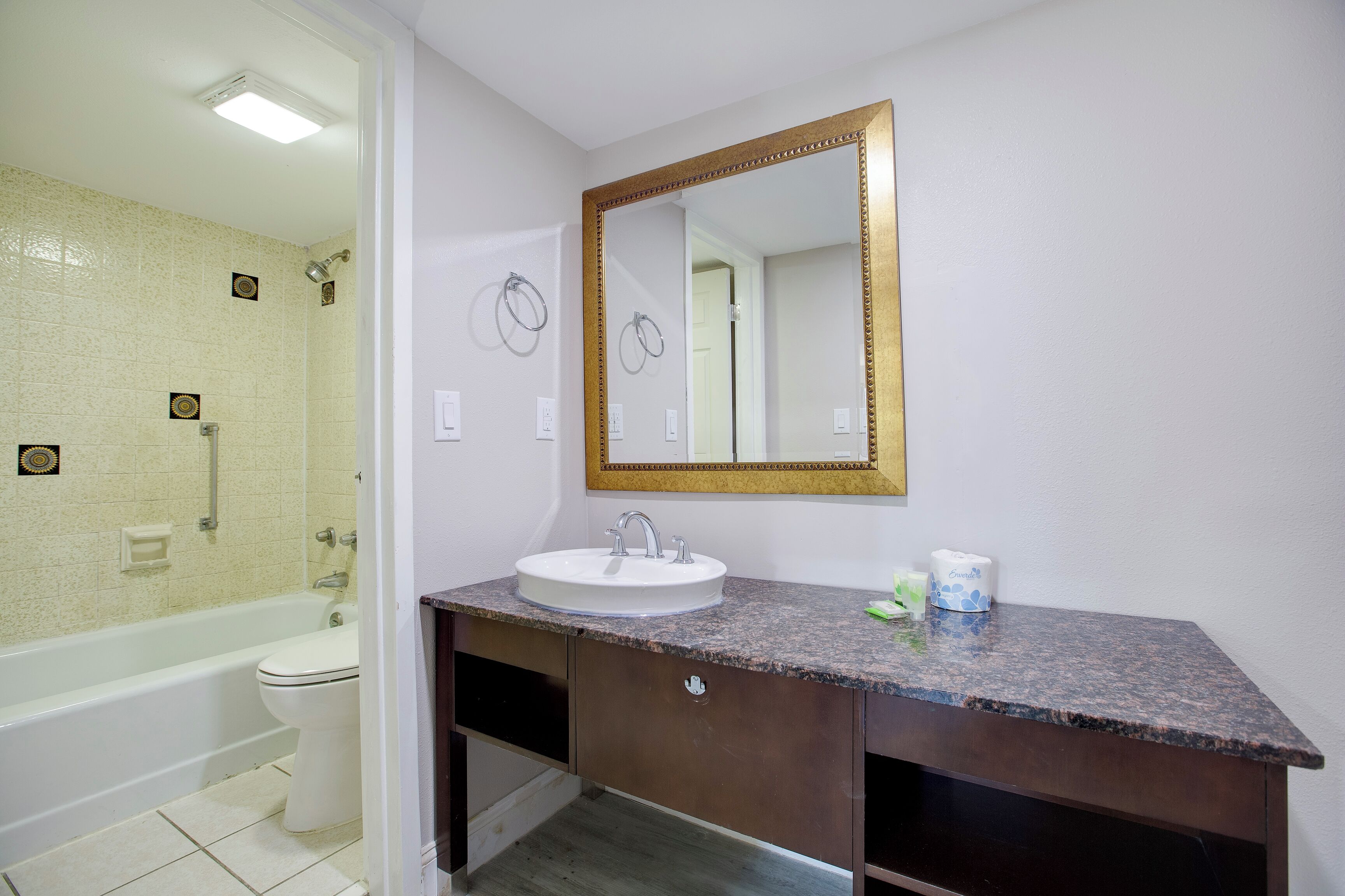 Un baño con un lavabo blanco, un espejo grande con marco dorado, una ducha y un inodoro.