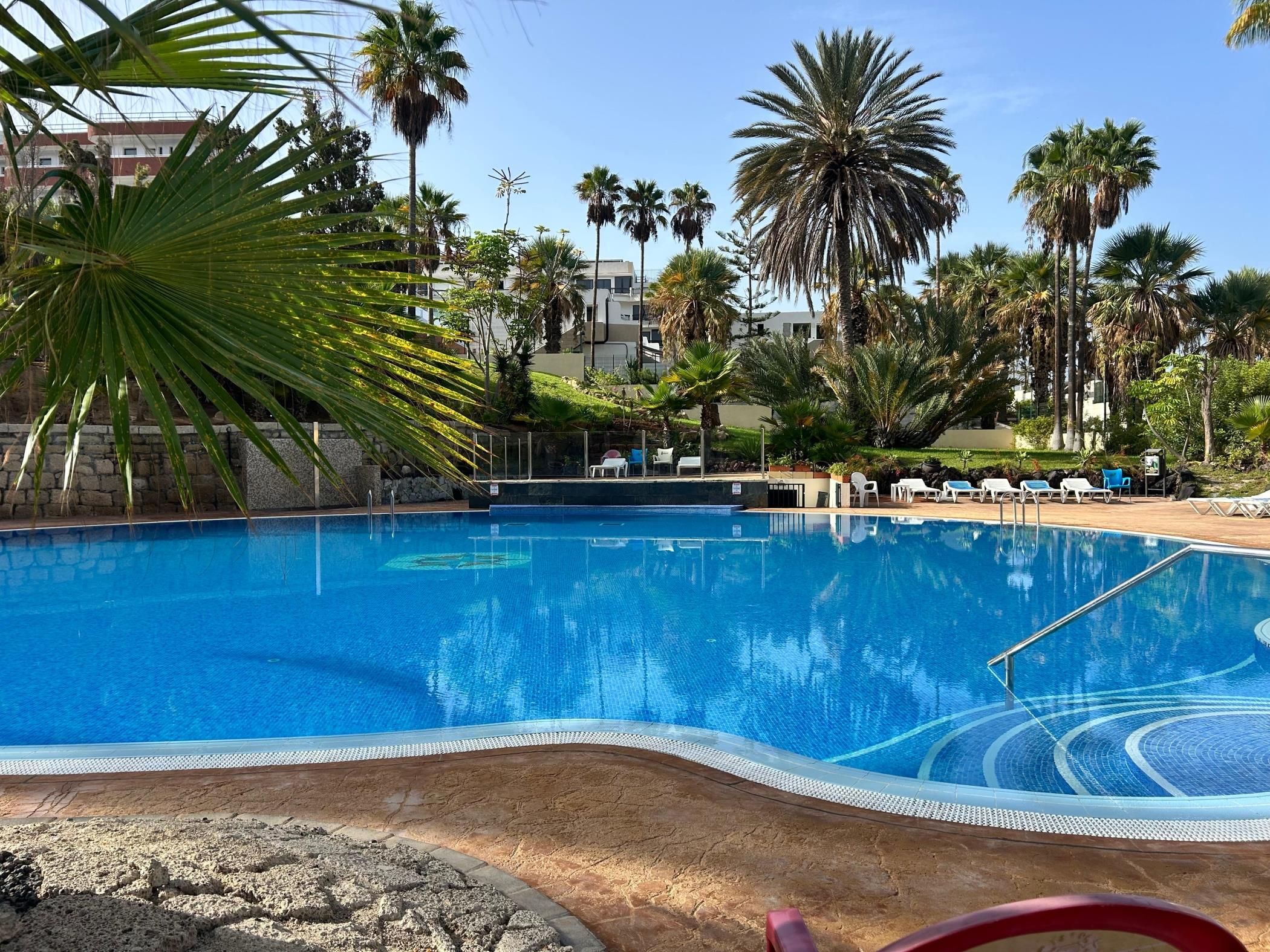 A swimming pool surrounded by palm trees and lounge chairs.