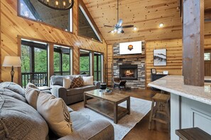 TV, fireplace