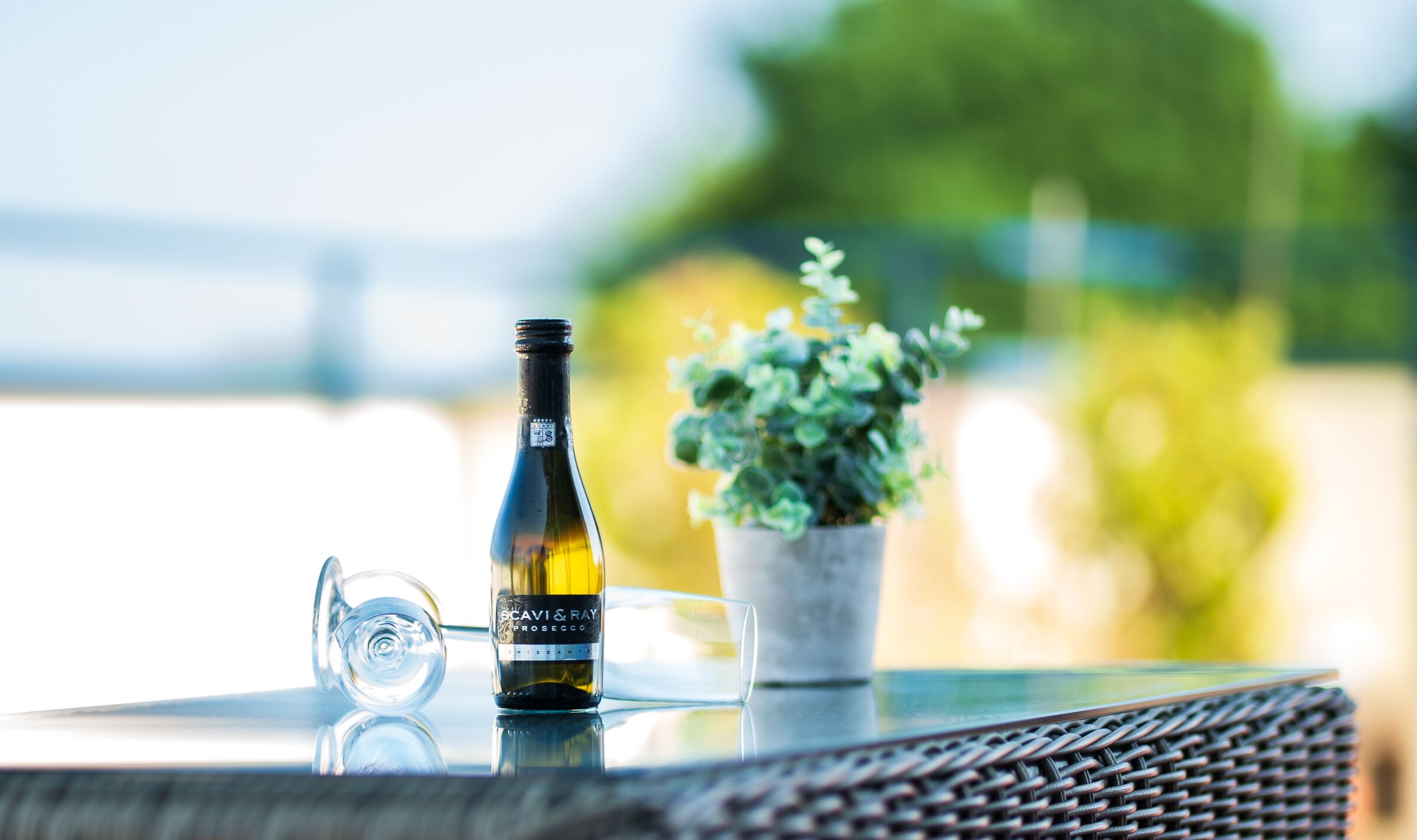 Eine Flasche Cavi & Ray Prosecco auf einem Tisch mit einem Glas und einem Blumentopf.