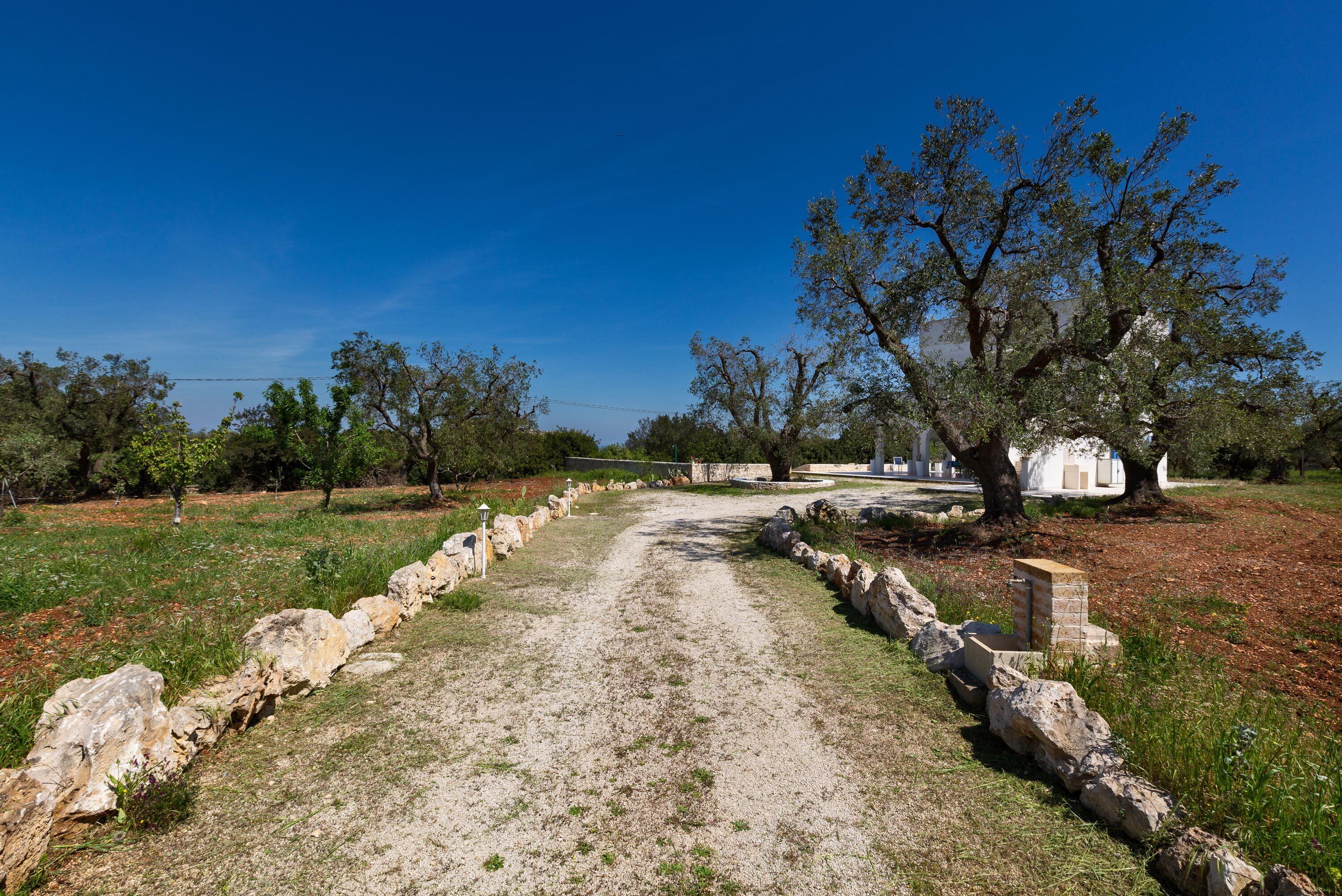 A rural pathway leading to a white building with a stone wall on one side.