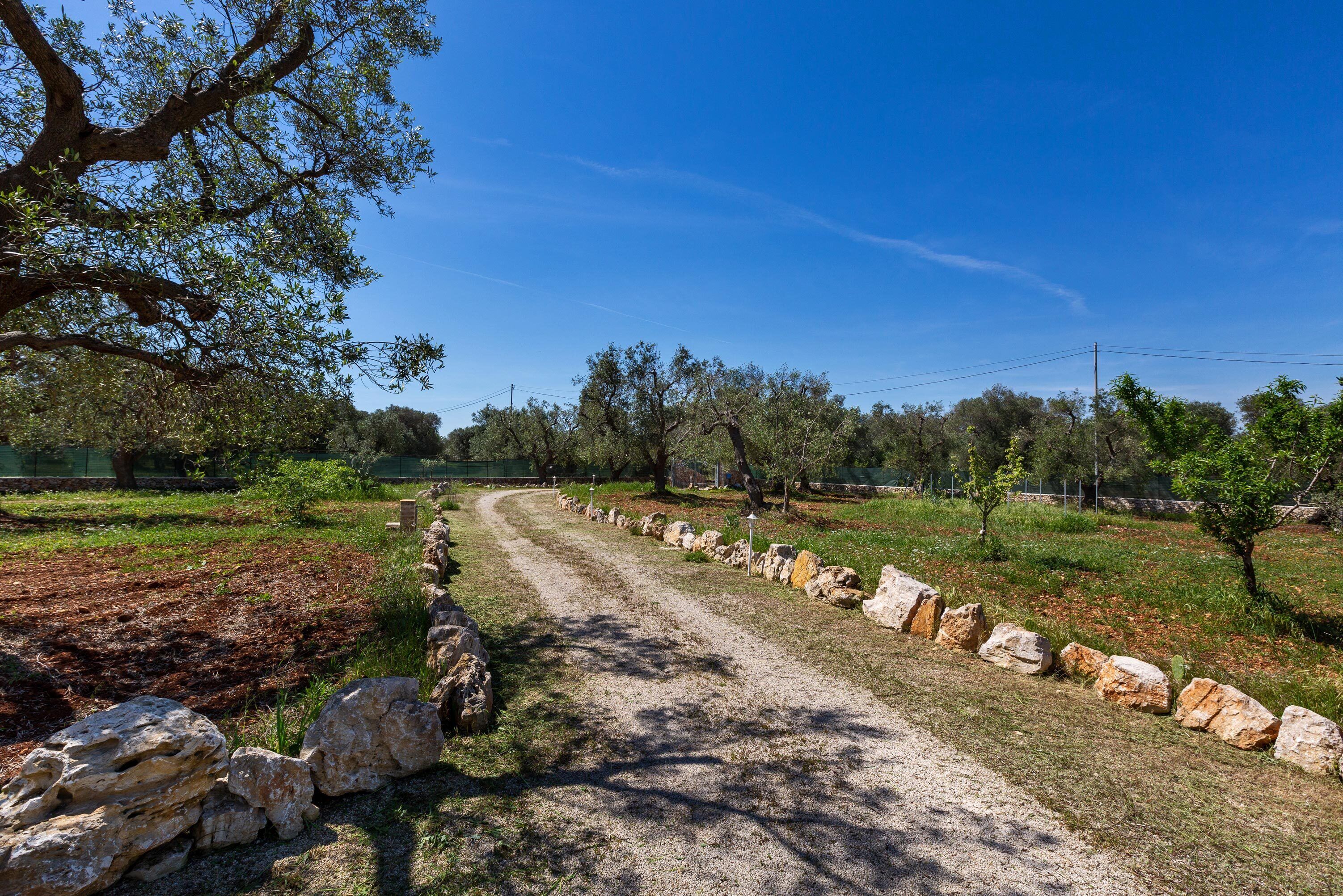 A rural dirt path bordered by stone walls and trees.