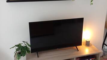 Flat-screen TV