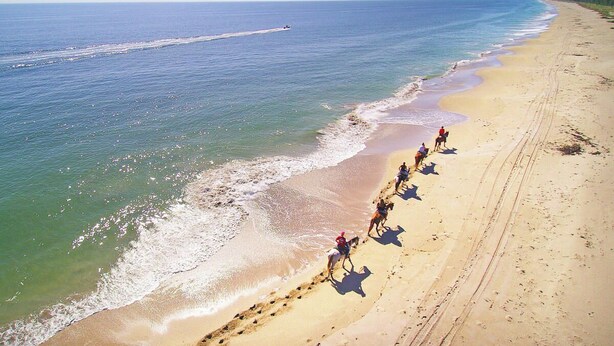 Une plage offrant une vue dégagée sur l’océan et bordée d’un sentier de sable.