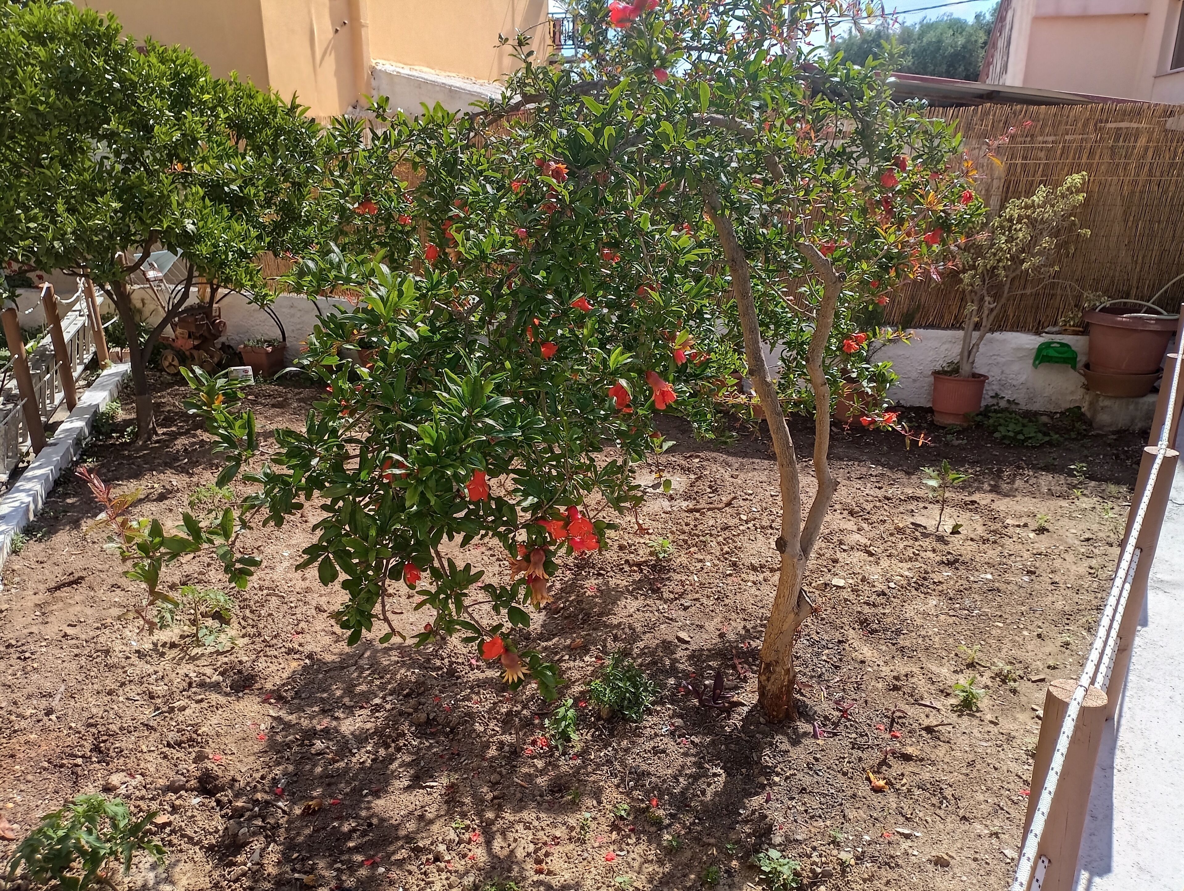 المنطقة المحيطة بالمنشأة