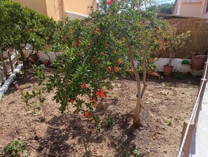 Àrea exterior de l'allotjament