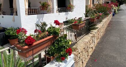 Cozy cottage in Tanaunella