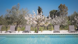Un espace aménagé au bord de la piscine, avec des chaises longues et des arbres en fleurs.