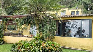 Un bâtiment jaune doté d’une grande fenêtre, entouré d’une végétation luxuriante et d’un petit jardin.