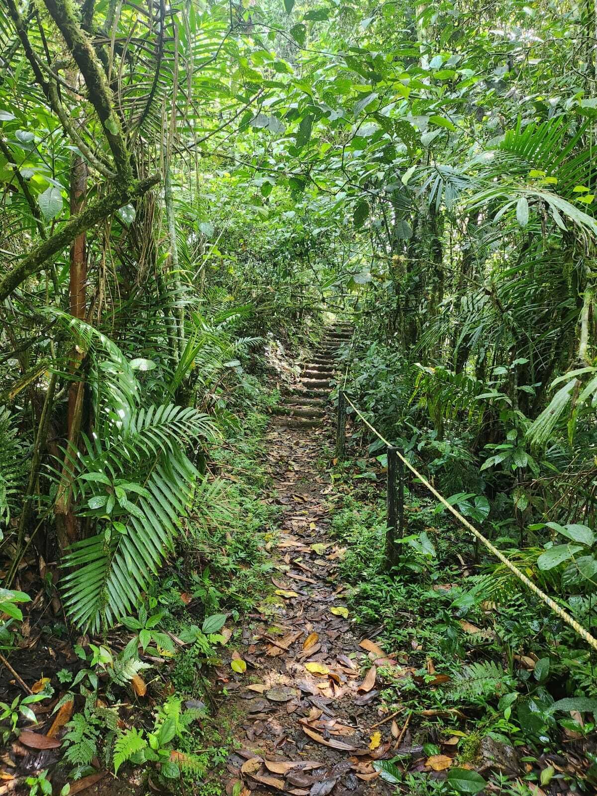 Foto - San Felipe Lodge. Birding and Wellness