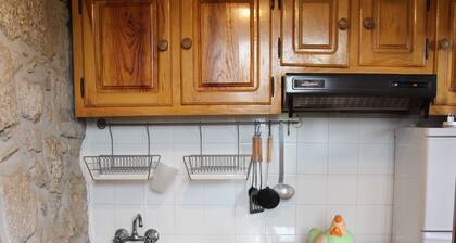 Casa das Vinhas Casa de Quinta, Tranquila e Acolhedora. Aceitam-se Animais