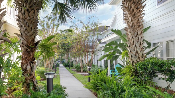 A pathway flanked by palm trees and lush greenery, leading to a row of white buildings with windows. - Beautifully Decorated Home, 10-minute drive from Disney, with Clubhouse. (Kissimmee)