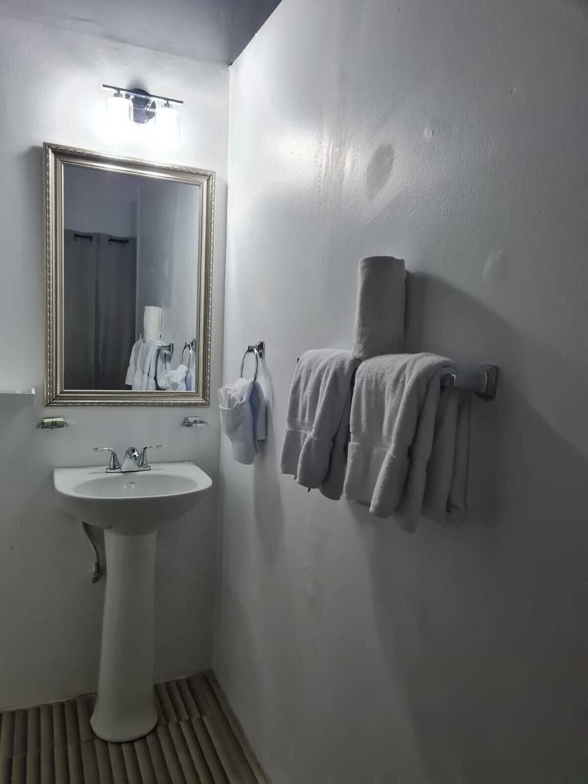 奢华单人房 | 浴室 | 淋浴设施、免费洗浴用品、毛巾、肥皂