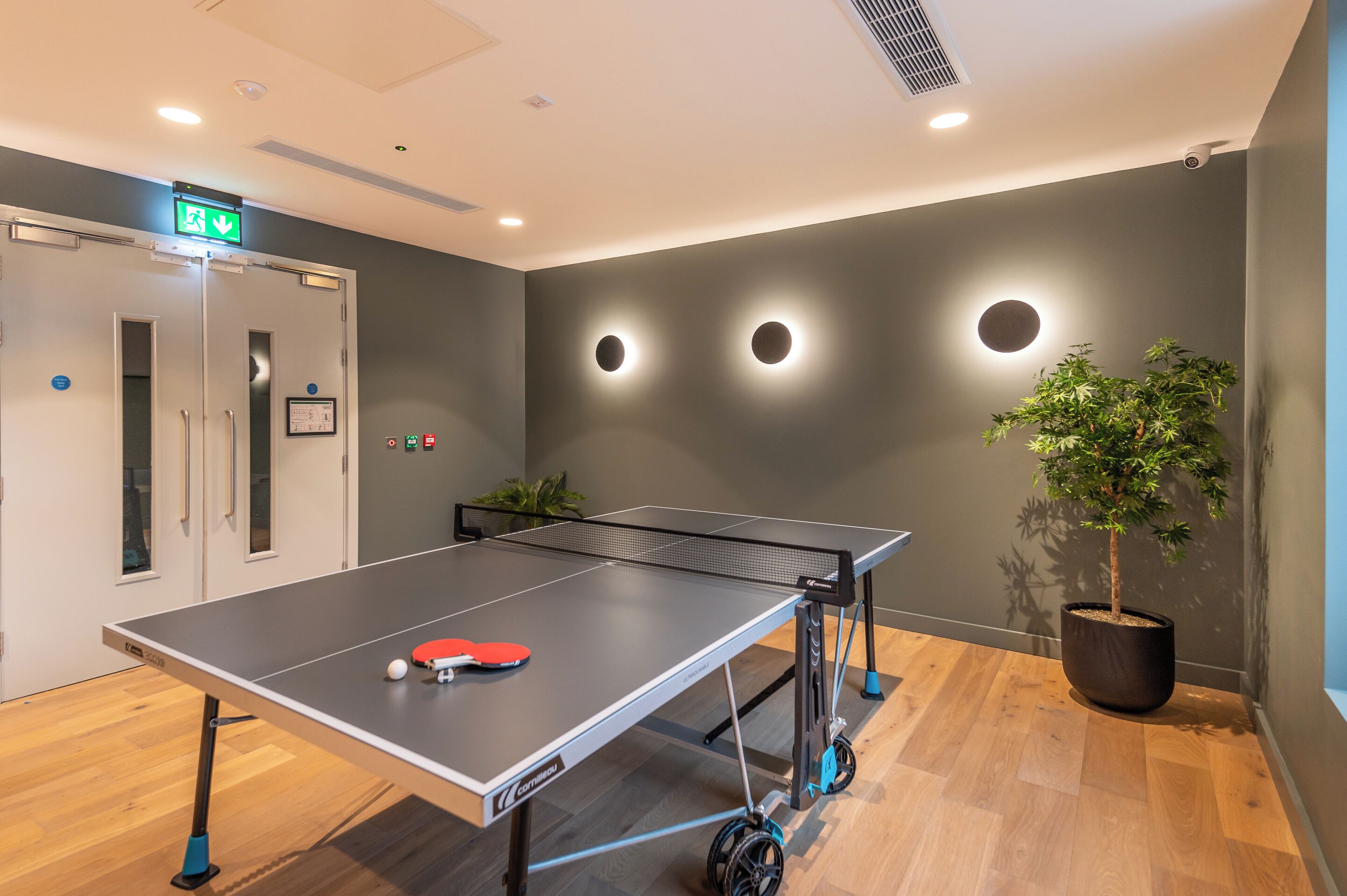 A ping pong table with a net, a potted plant, and a door with an emergency exit sign.