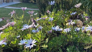 Un jardin avec des fleurs blanches et violettes, un bâtiment en pierre et une montagne en arrière-plan.