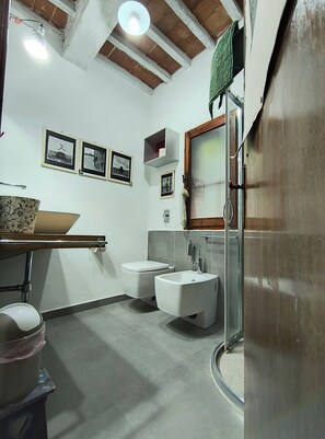 Douche, bidet, serviettes fournies, papier toilette