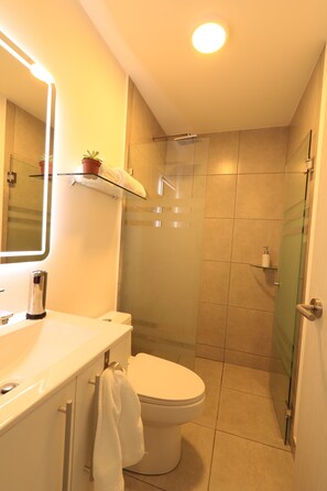 Secadora de cabello, toallas, jabón, papel de baño 