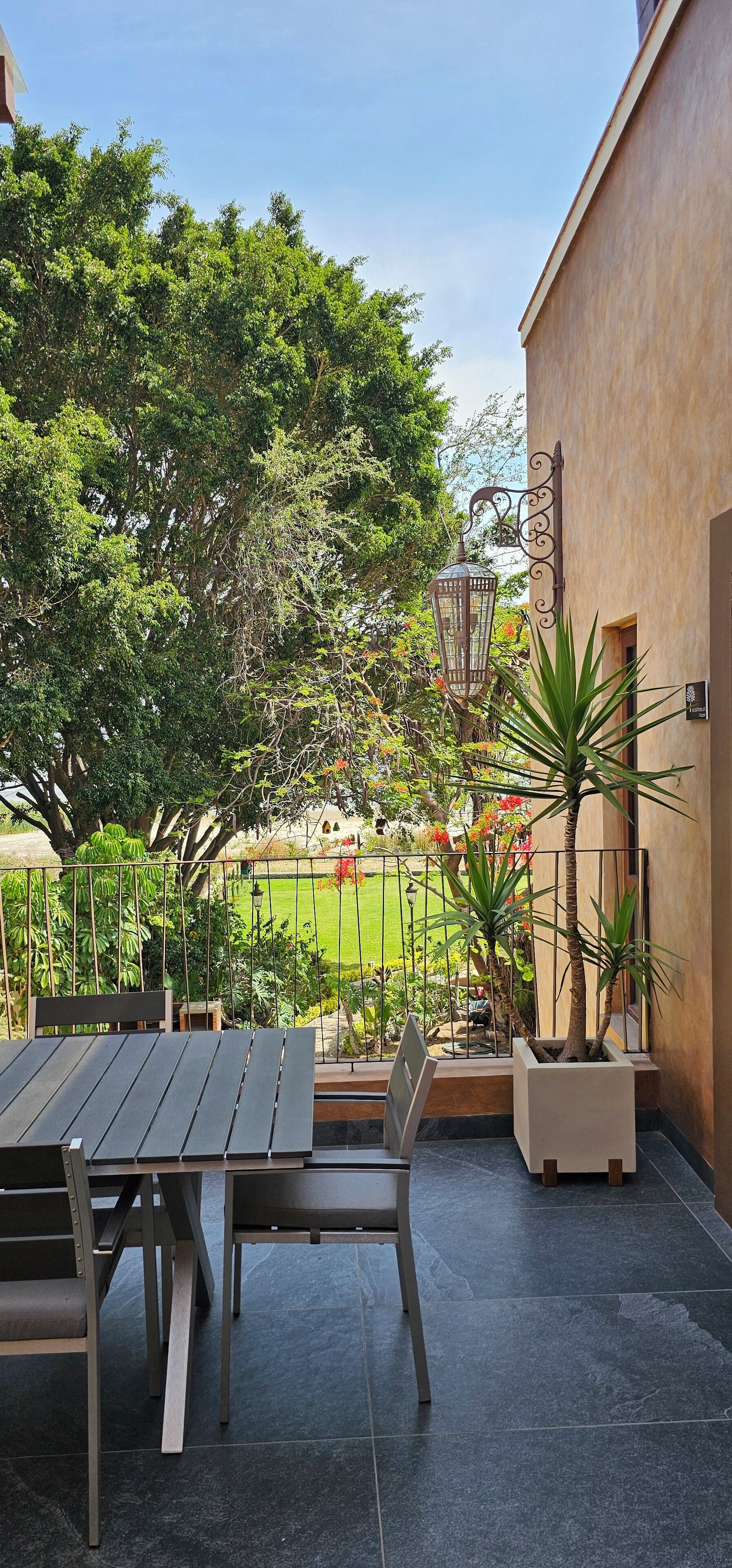 Un pati exterior amb una taula i cadires, envoltat de plantes en testos i una vista a un jardí.