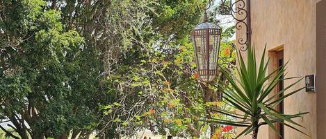 Un pati exterior amb una taula i cadires, envoltat de plantes en testos i una vista a un jardí.