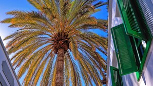 A narrow street with white buildings, green shutters, and a palm tree.