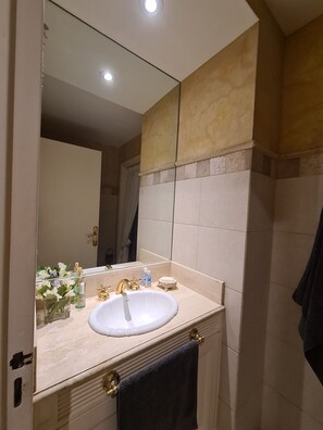 Hair dryer, bidet, towels, soap