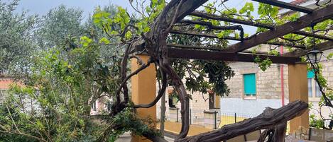 Villa | 3 slaapkamers