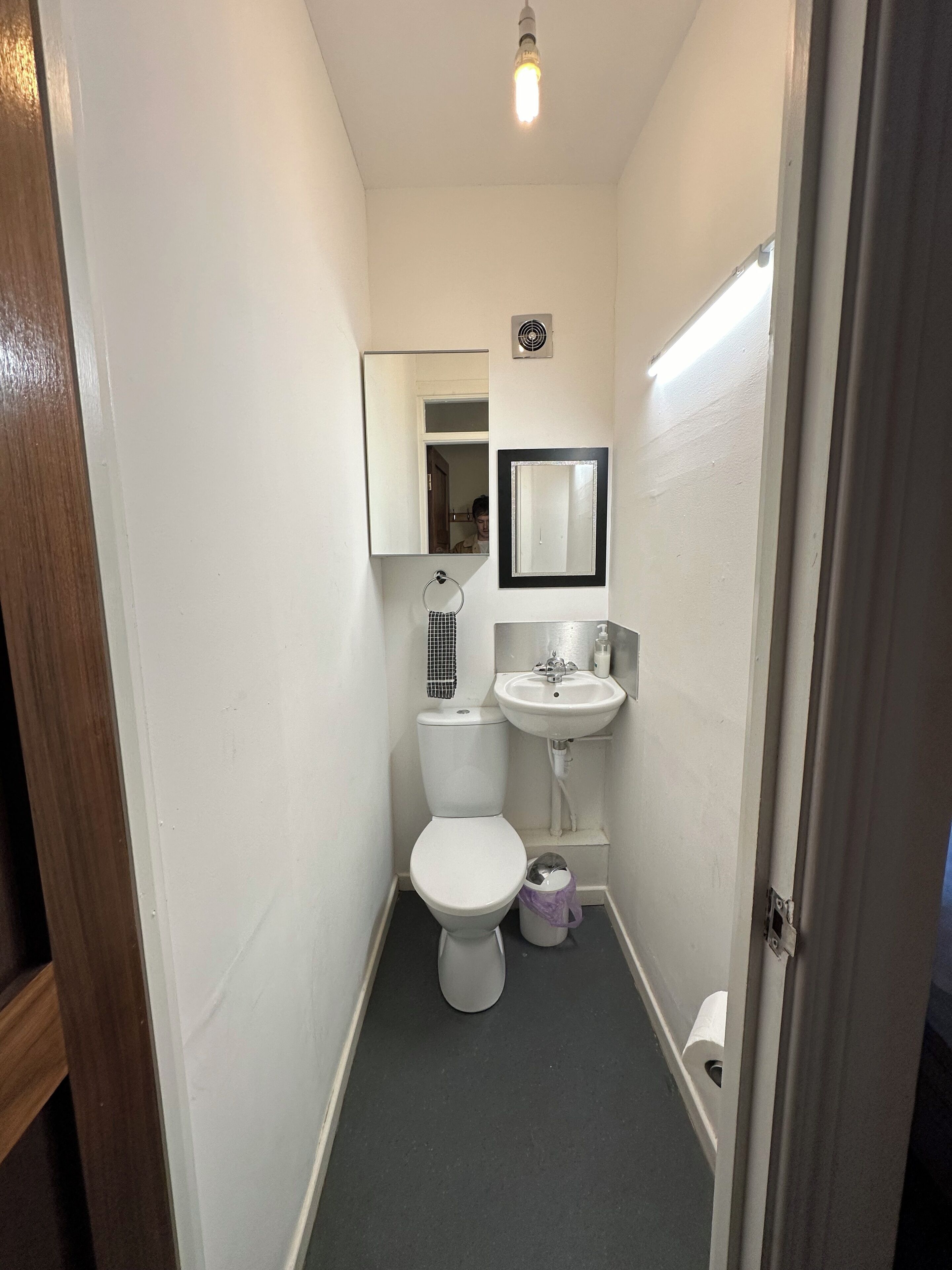 A narrow bathroom with a toilet, sink, and mirror.