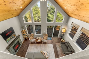 TV connectée, cheminée, livres, espaces bureaux