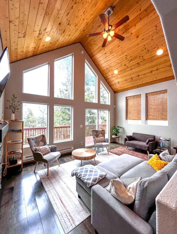 TV connectée, cheminée, livres, espaces bureaux