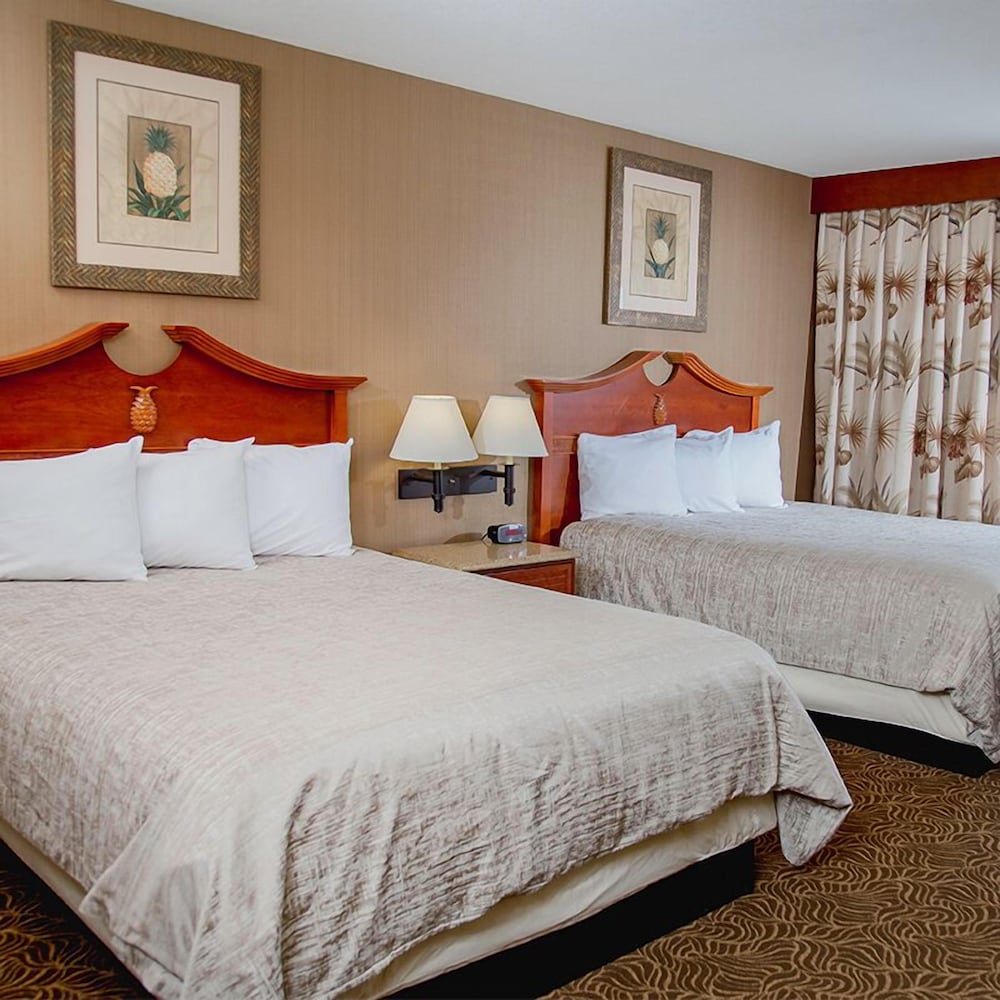 Treasure Island Resort & Casino by null