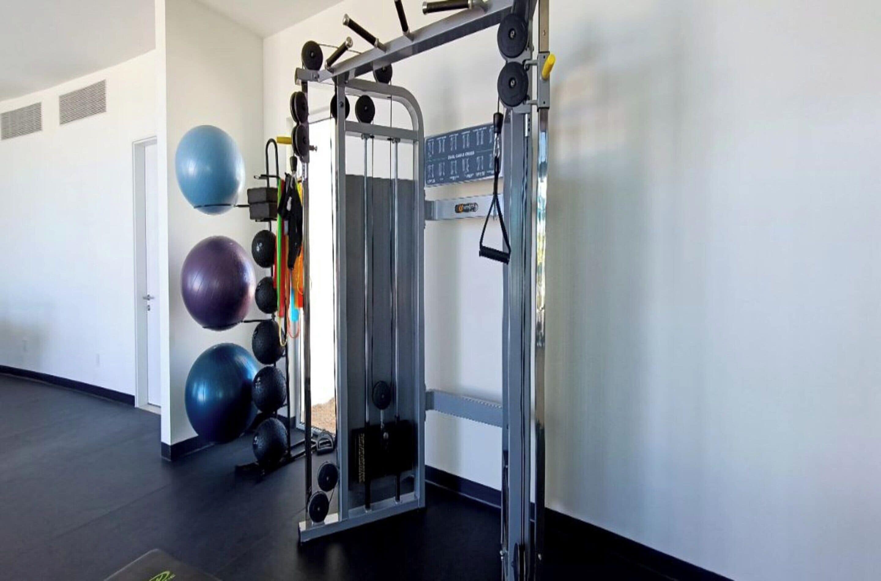 A gym with a squat rack, medicine balls, and weight plates.