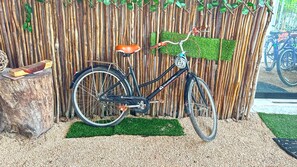 Bicycling - Soi Bacalar (Bacalar)