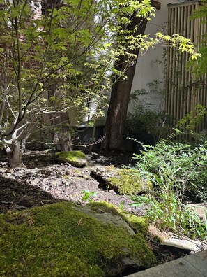 Un jardín con rocas cubiertas de musgo, un árbol y diversas plantas.