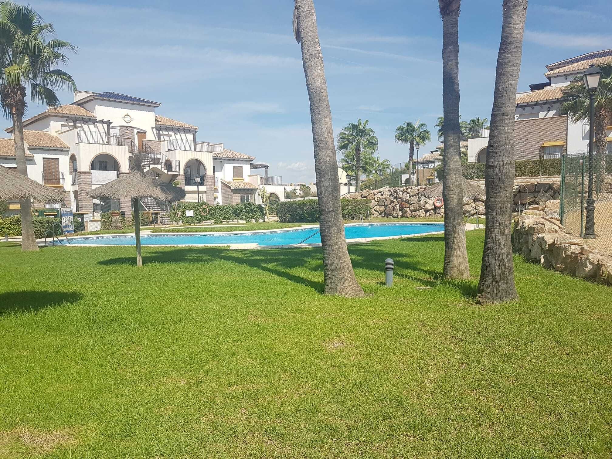 A pool area with a clear blue pool, surrounded by well-maintained grass and palm trees.