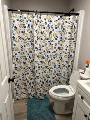 Shower, towels, toilet paper