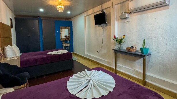 Ein Hotelzimmer mit zwei Betten, einem Fernseher, einer Klimaanlage und einem kleinen Tisch mit Pflanzen.