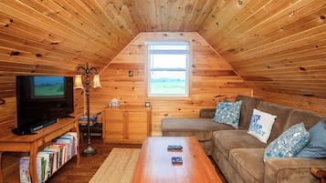 Een smart-tv, een open haard, een dvd-speler en boeken