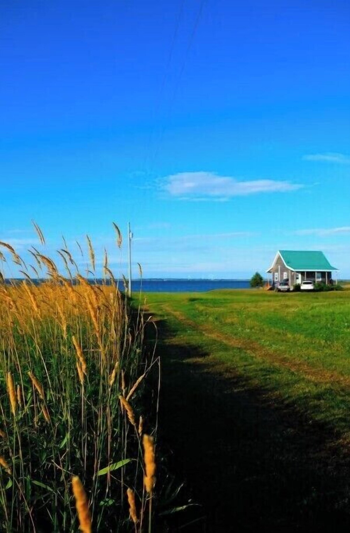 Bild für Gastgeberprofil