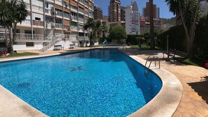 A swimming pool with a curved edge, surrounded by a stone patio. There are steps leading to a balcony with a railing, and a palm tree is visible in the foreground. - ALBATROS APARTMENT (R133) (Benidorm)