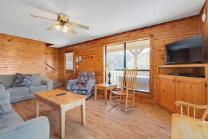 TV, fireplace, DVD player