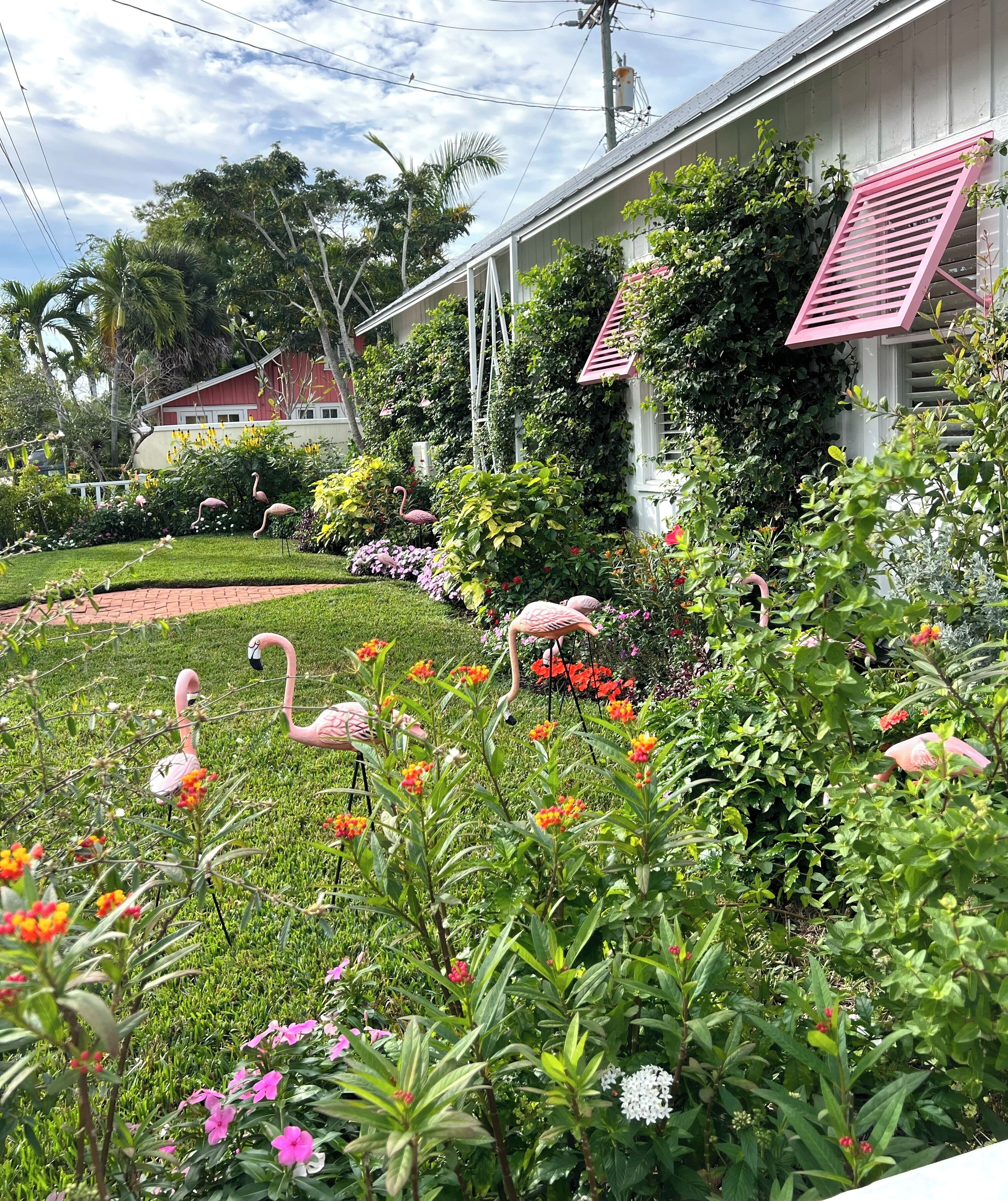 Terrein van de accommodatie