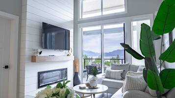 智能電視、壁爐、書籍